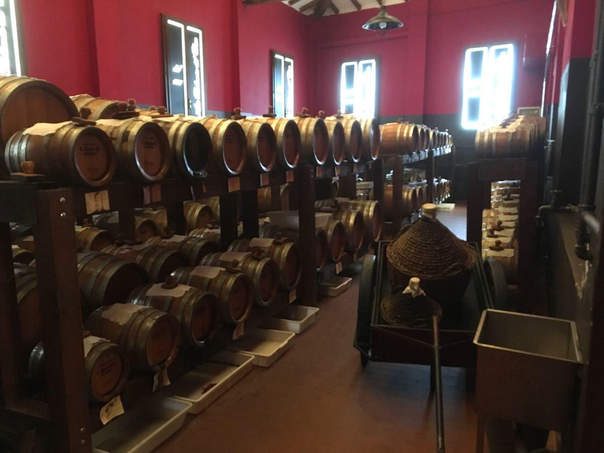 Le Terre del Balsamico, il nuovo consorzio Le Terre del Balsamico, il nuovo consorzio