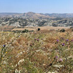 Ferrandina - Panorama