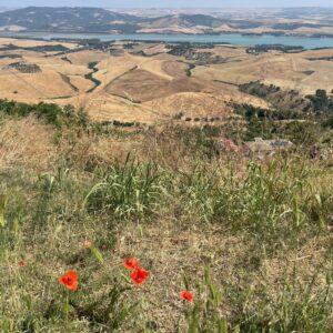 Miglionico - La congiura