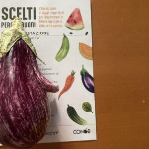 Scelti perchè buoni